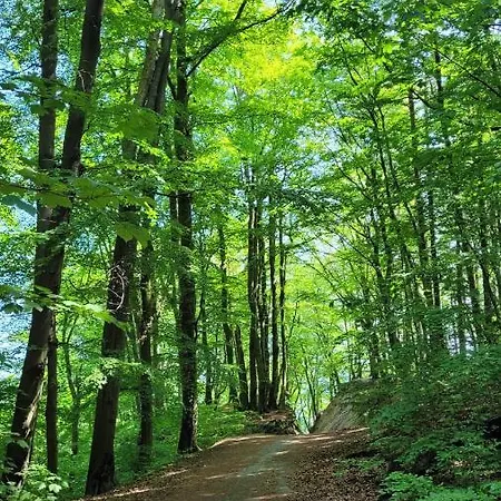 Przy Plazy W Redlowie Appartamento Gdynia